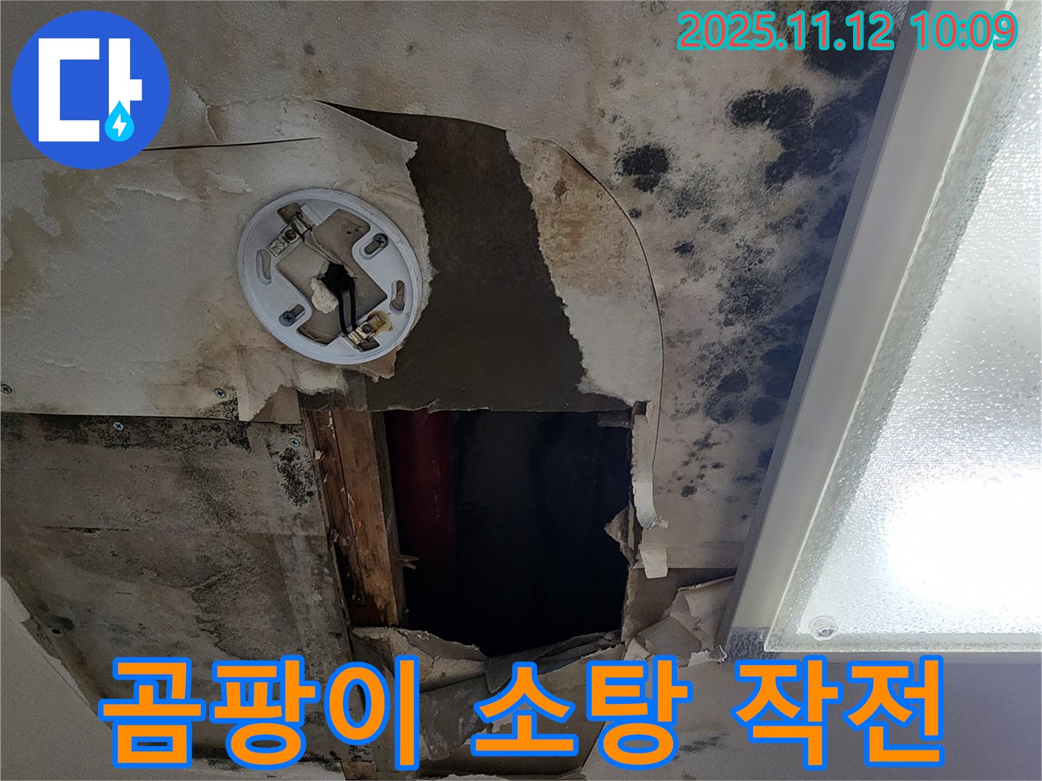 곰팡이로 뒤덮인 천장 - 소흘읍 누수 특공대가 소탕 작전 개시