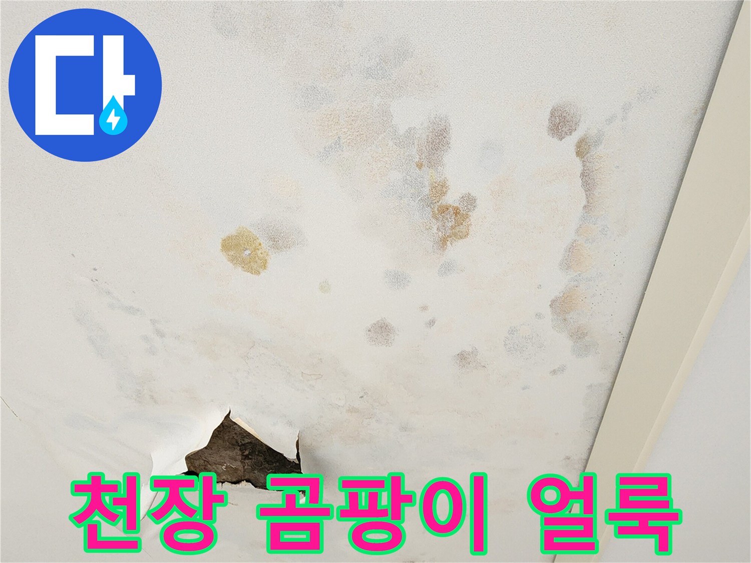 넓게 퍼진 물 얼룩과 찢어진 천장 마감재 사진