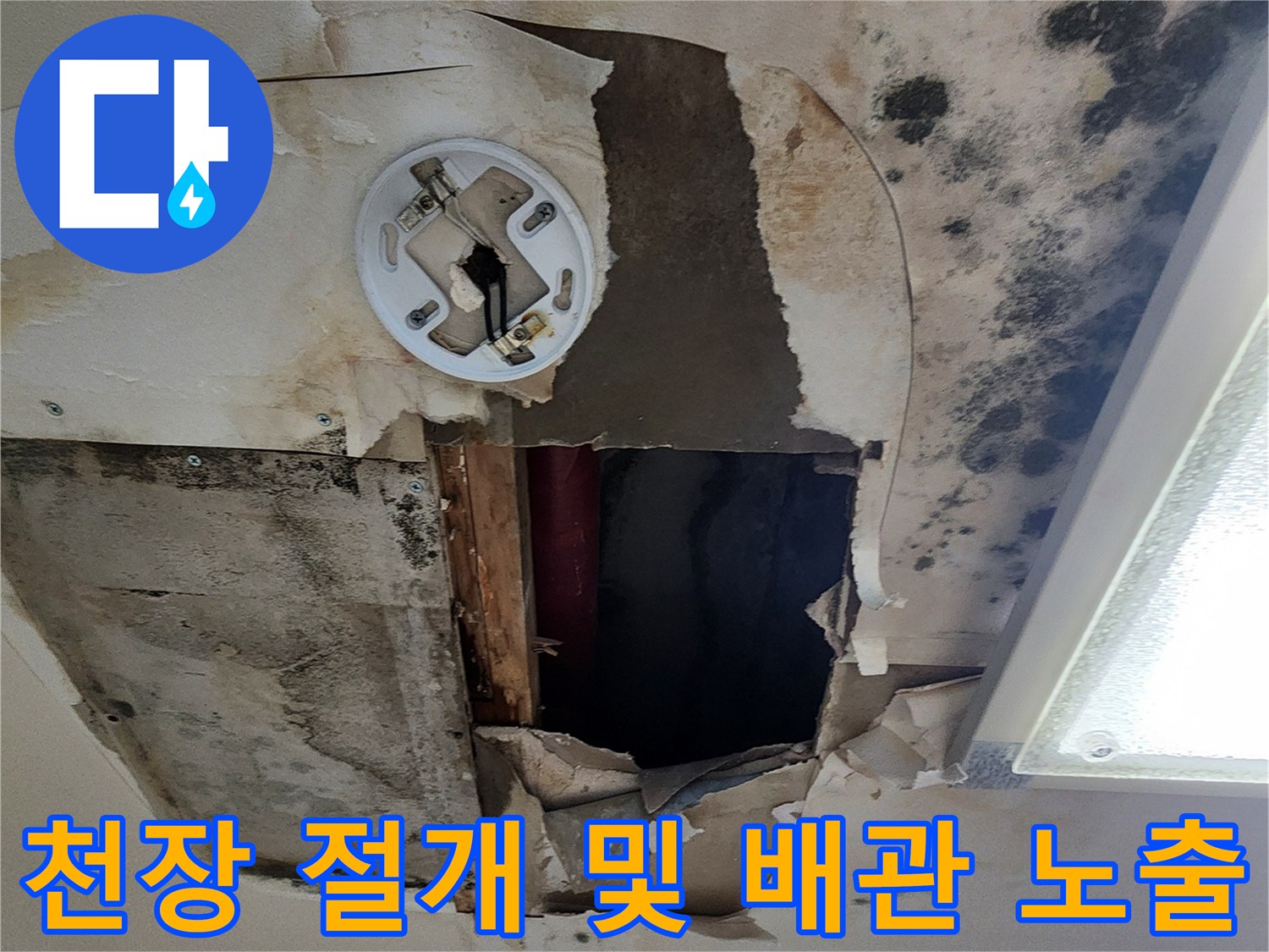 누수 지점을 찾기 위해 - 천장을 절개한 내부 모습