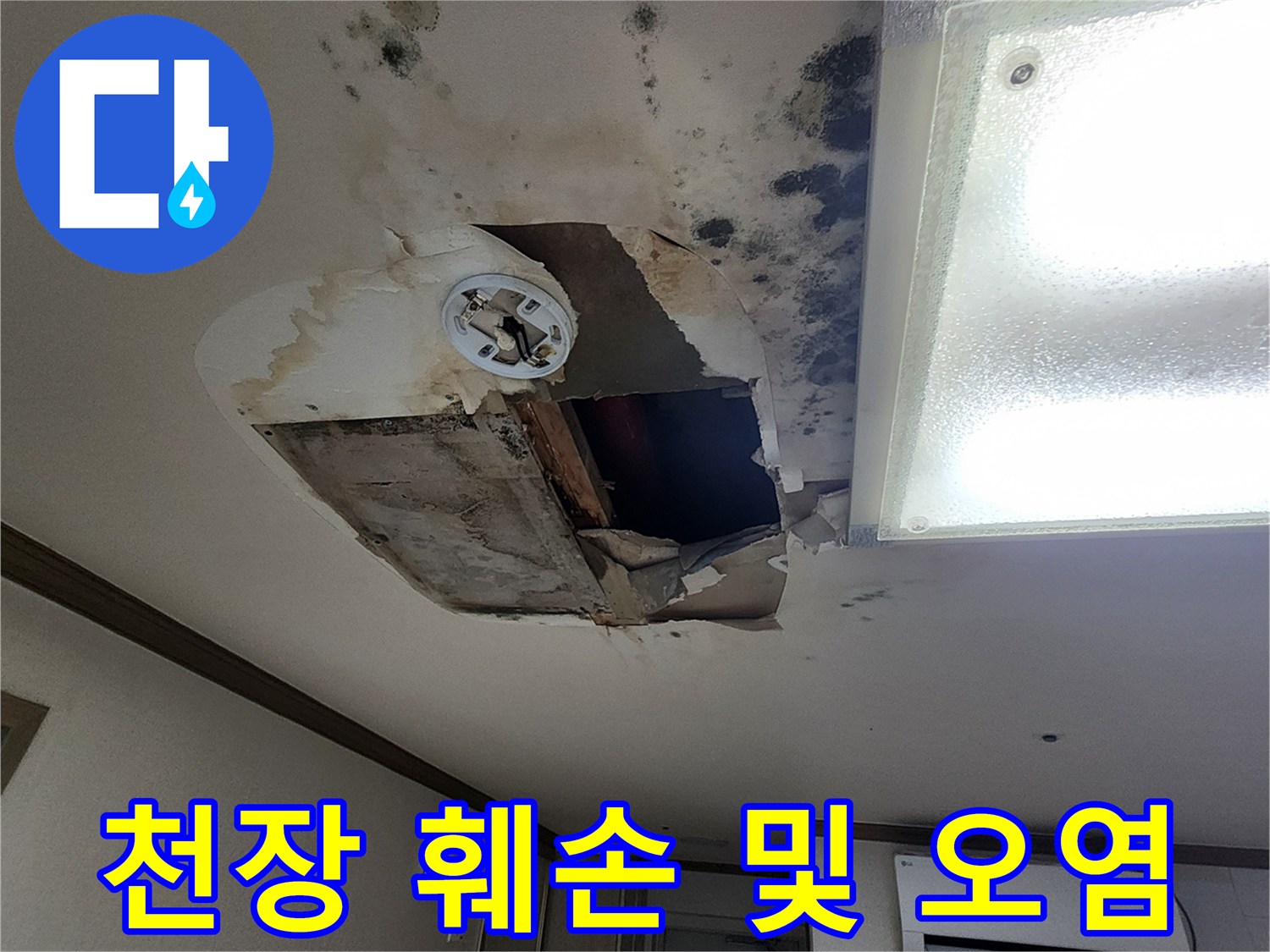 누수-피해로-인한-천장-마감재-변색과-곰팡이