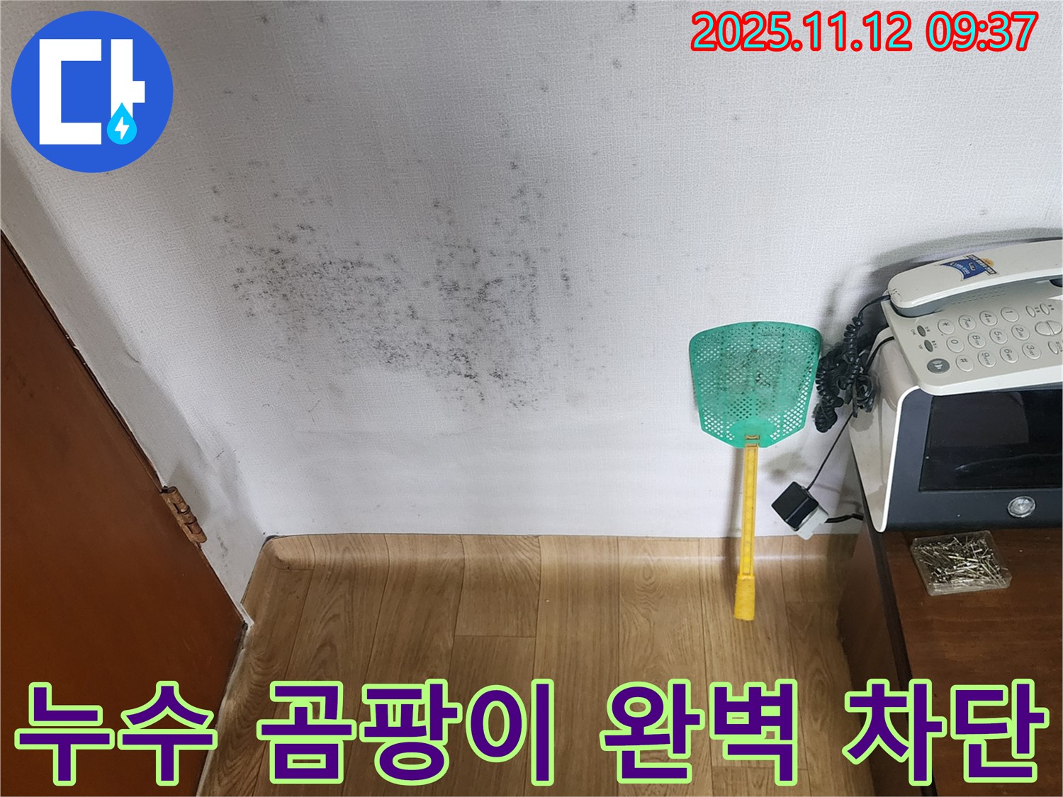 누수와 곰팡이 해결 - 전문 장비로 누수탐지, 꼼꼼한 곰팡이 제거로 완벽 해결! A/S 보장!