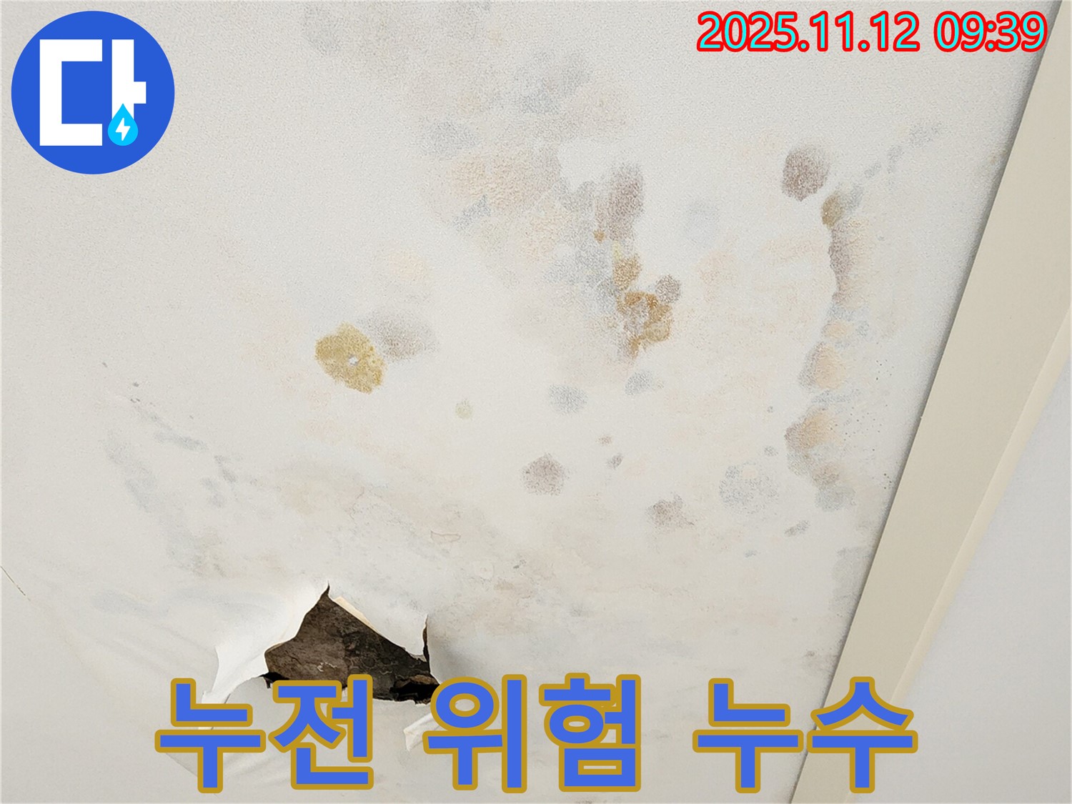 누전 위험 - 천장 누수 - 전기 안전 점검 필수
