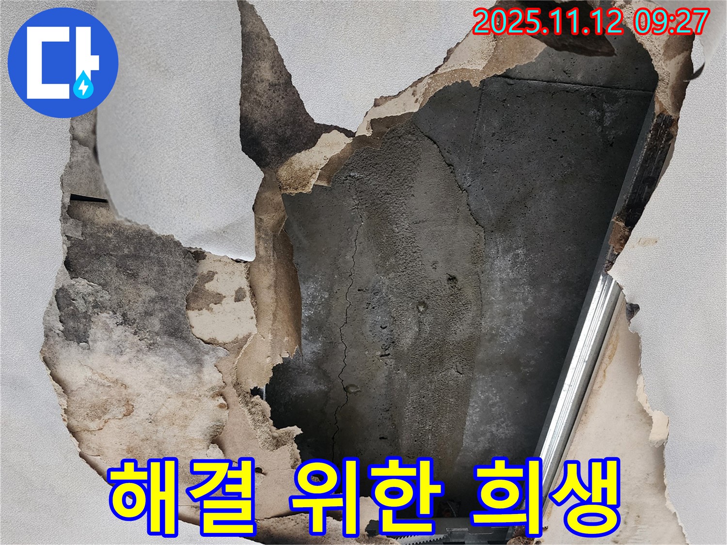 뜯겨진 천장 - 누수 해결을 위한 희생