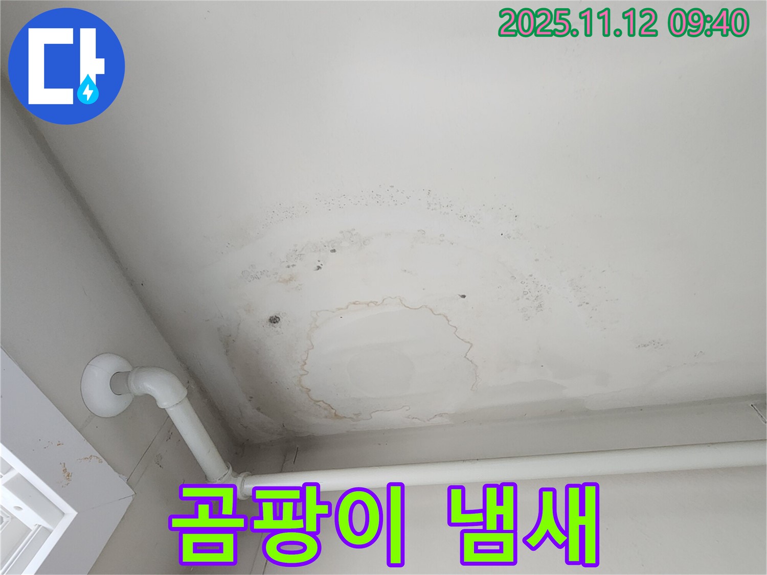 무봉리 누수 - 곰팡이 냄새, 누수 신호!