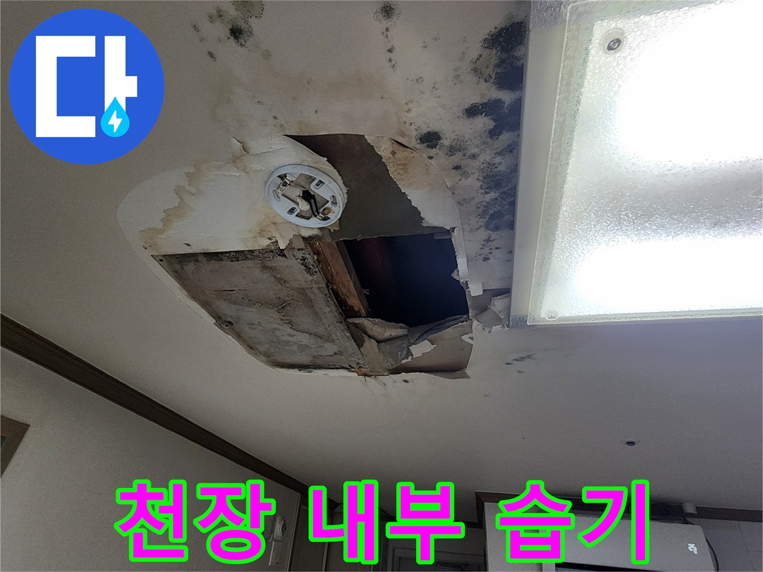 무봉리 아파트-천장 곰팡이 및 물 얼룩 현황