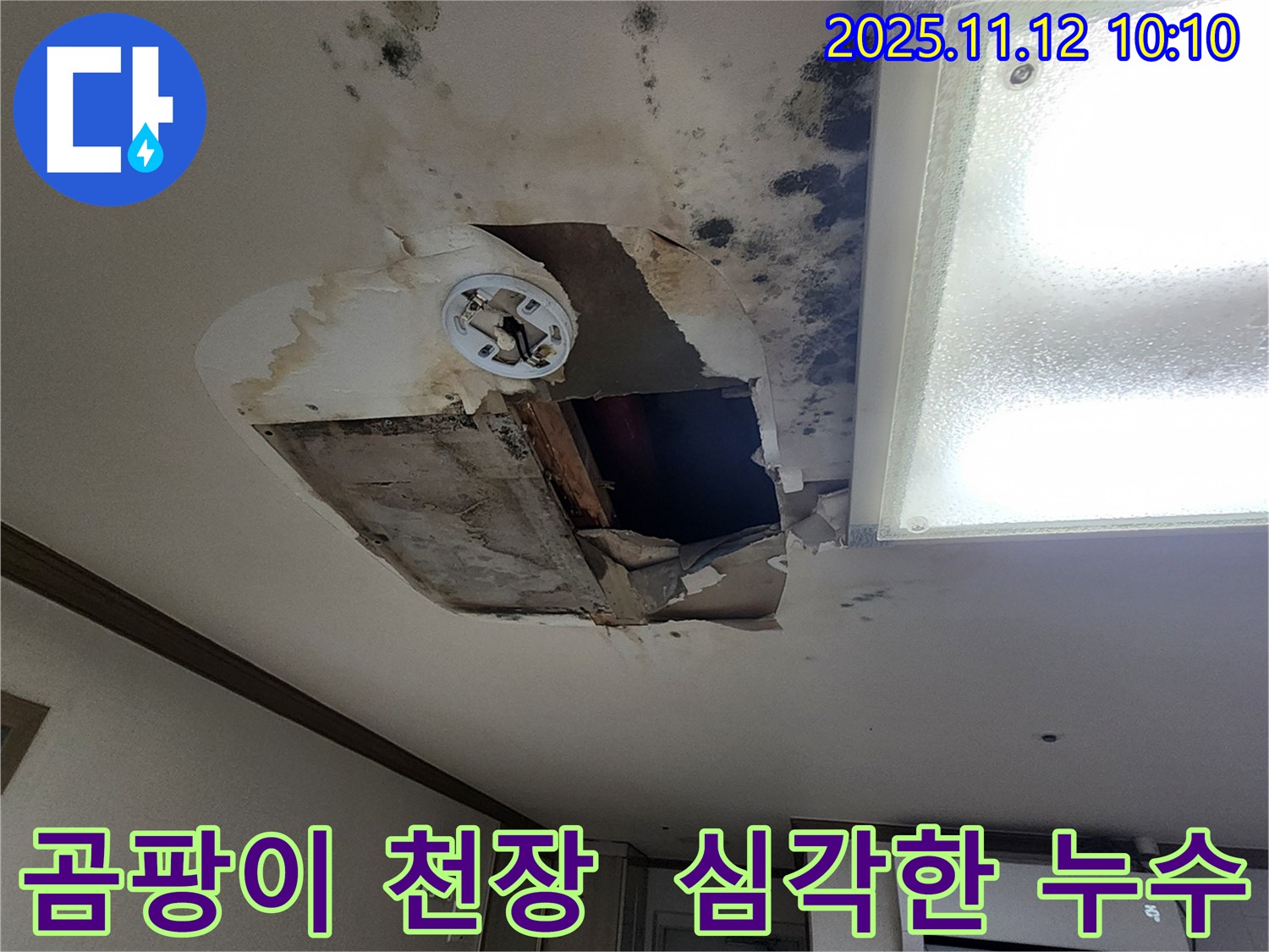 무봉리 주택 - 곰팡이로 뒤덮인 천장, 심각한 누수 문제