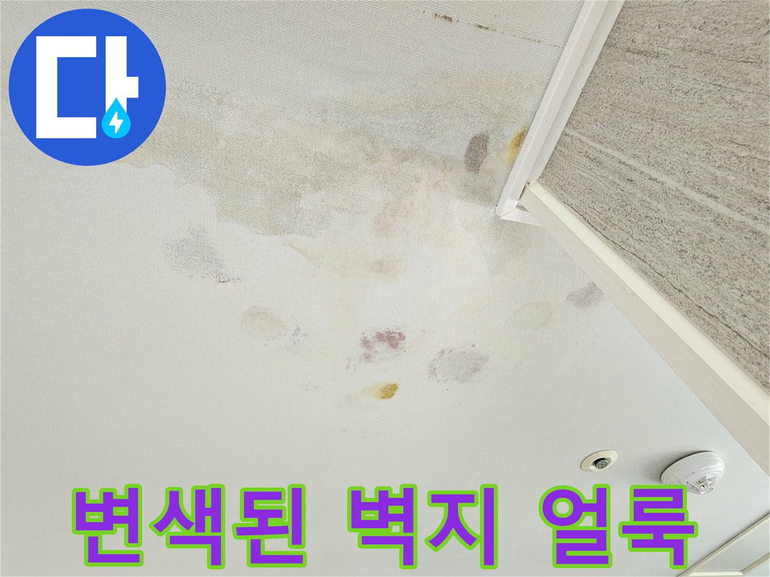 물기가 스며들어 변색된 아파트 내부 벽면
