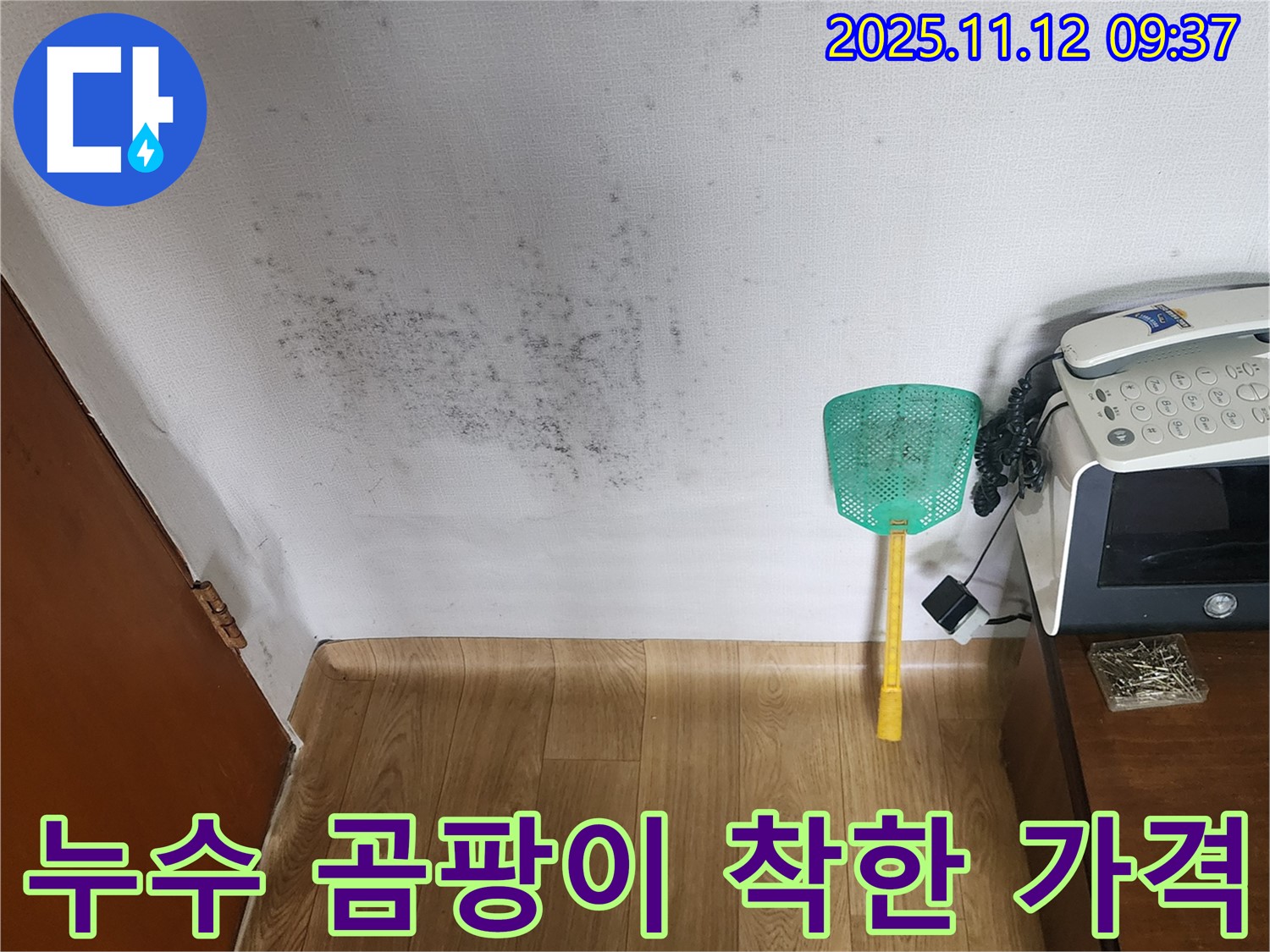 벽 곰팡이 - 누수탐지 후 곰팡이 제거, 재발 방지 시공을 합리적인 가격으로!