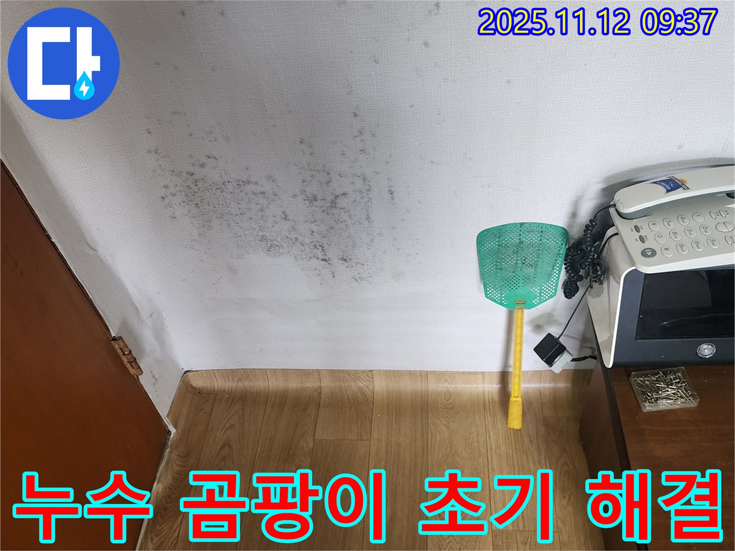 벽 곰팡이 - 누수탐지로 곰팡이 문제를 초기에 해결하세요! 빠른 해결!