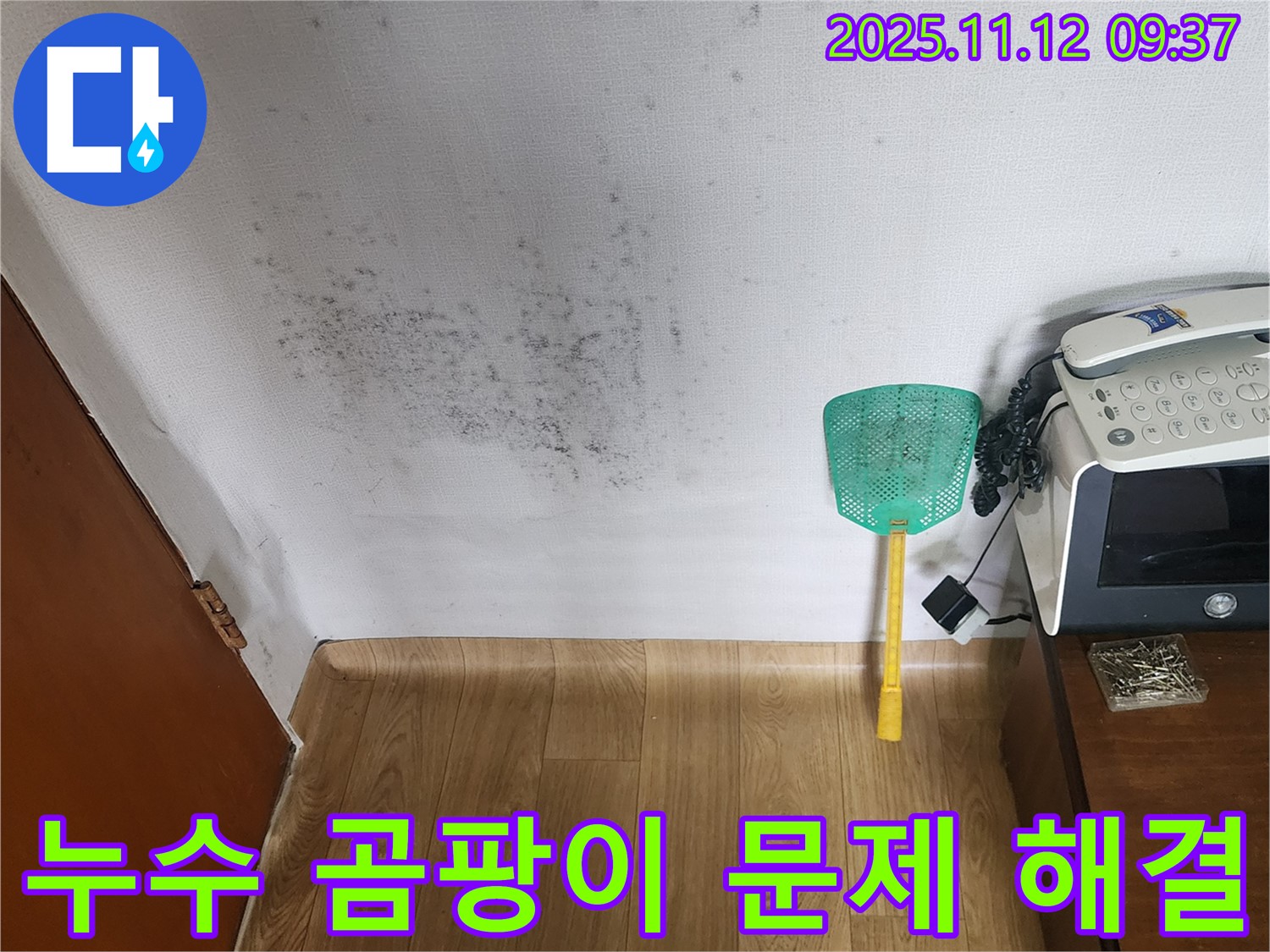 벽 곰팡이 - 누수탐지로 곰팡이 문제를 해결하고 쾌적한 환경으로! 확실한 해결!