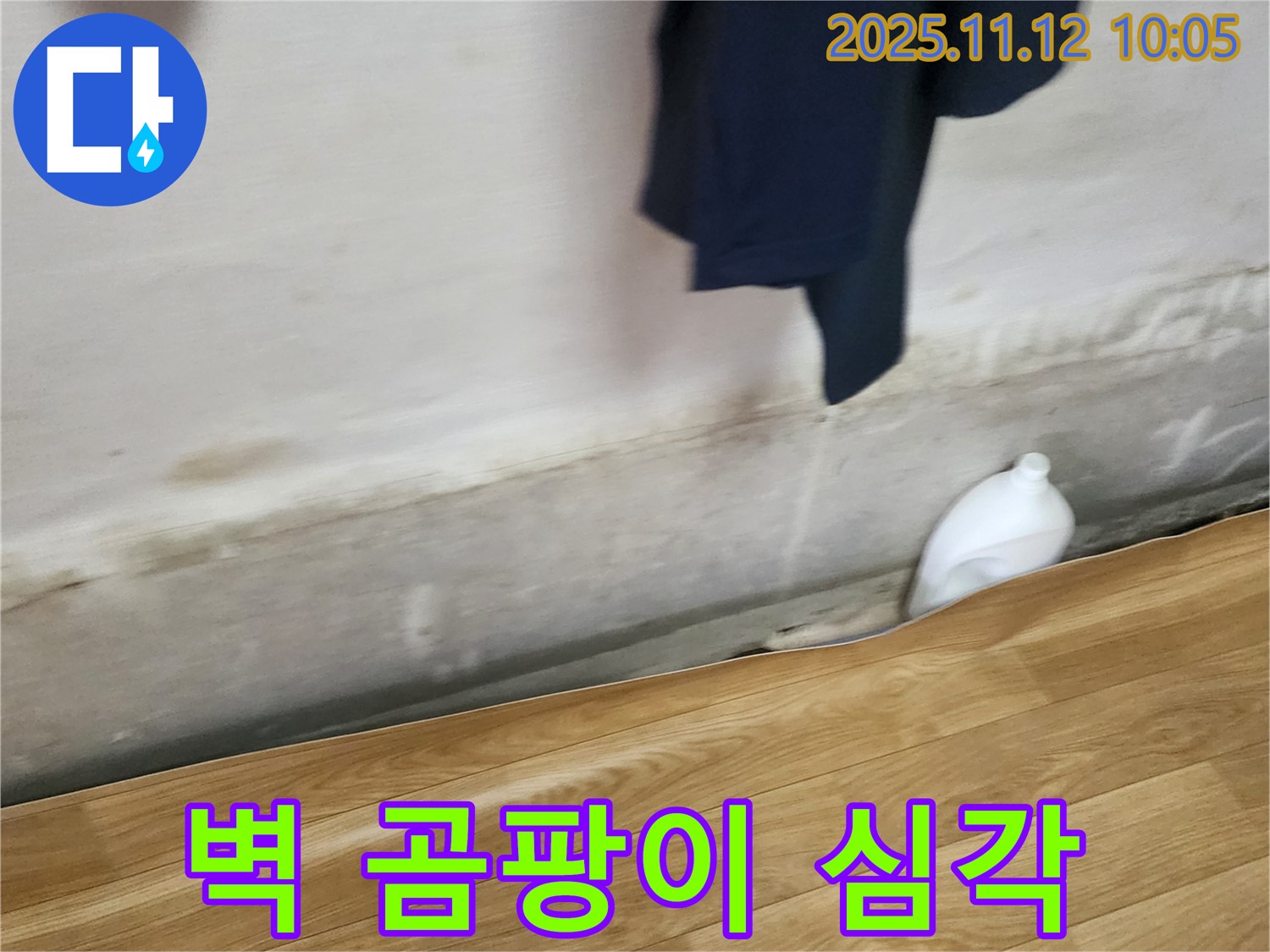 벽 곰팡이 - 심각 - 곰팡이 걱정 끝