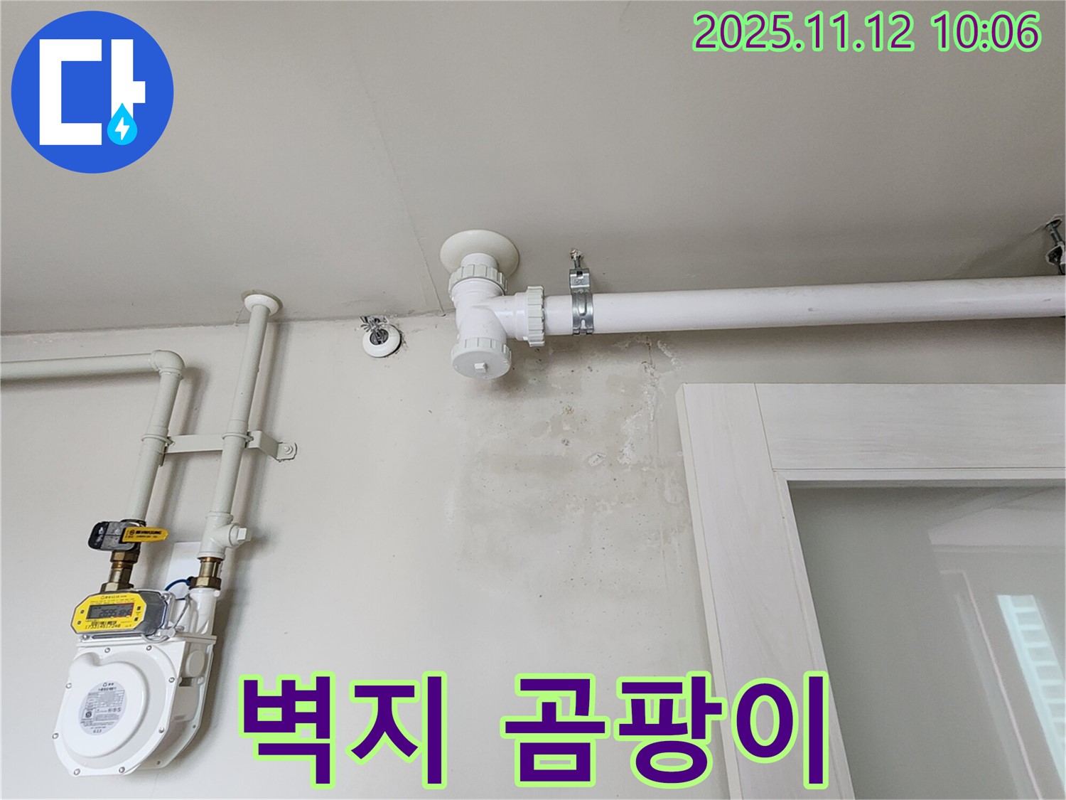 벽지 곰팡이 - 습기로 인한 손상! 누수 점검은 필수!