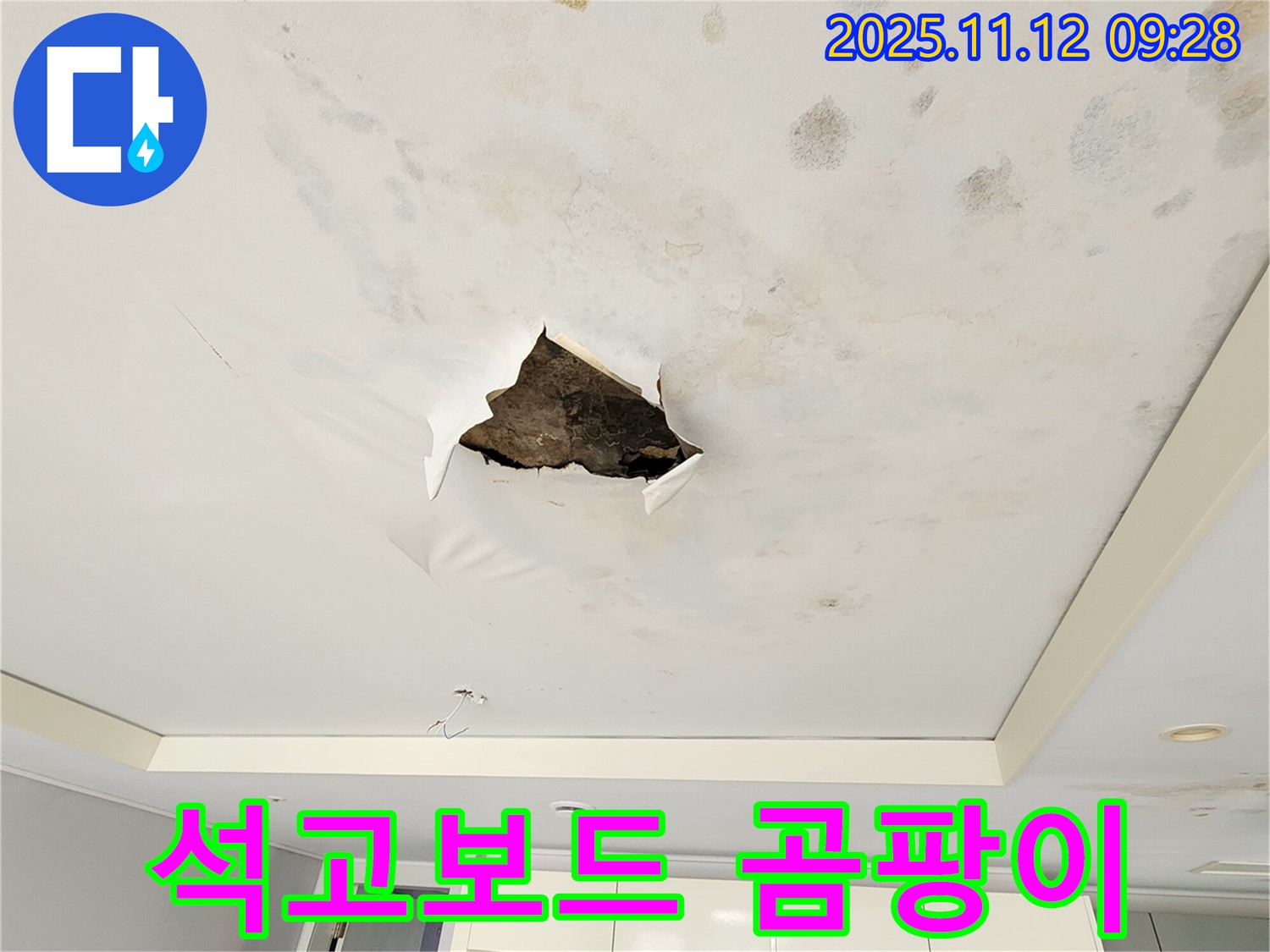 석고보드 곰팡이 - 석고보드 파손 부위 안쪽으로 곰팡이가 심하게 핀 모습입니다.