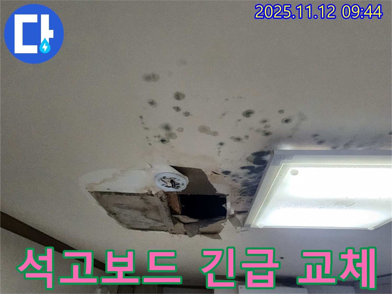 석고보드 손상 - 곰팡이 - 긴급 교체 - 누수 해결 전문