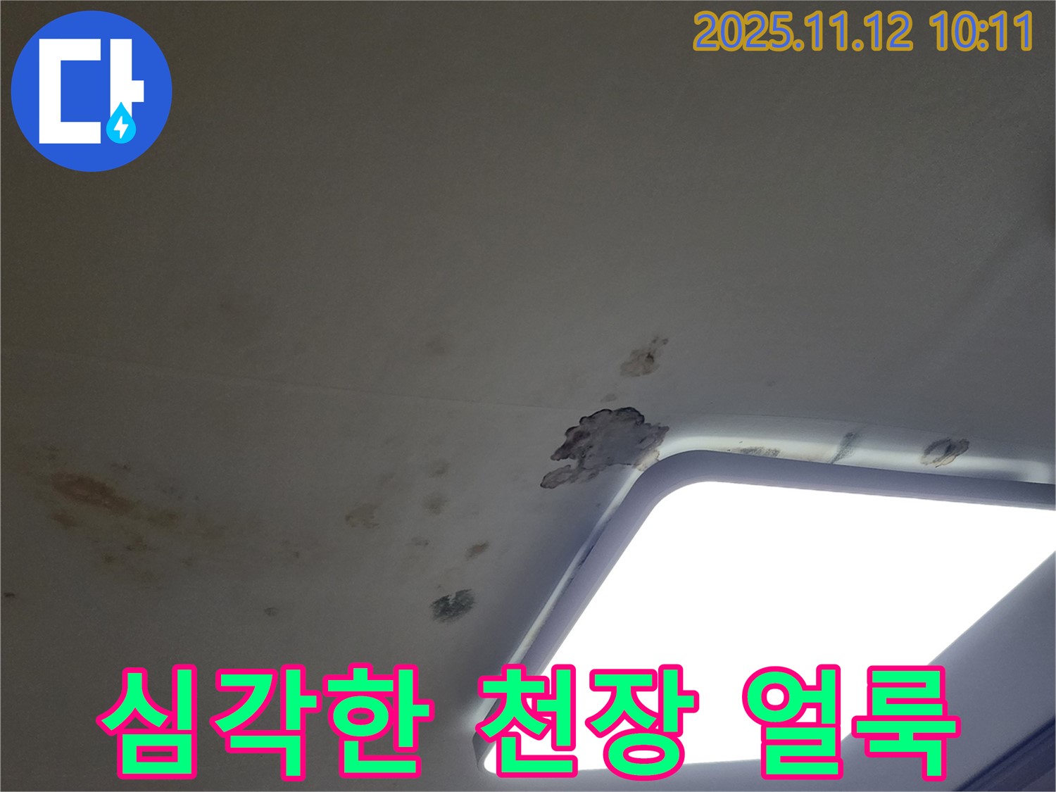 심각한 얼룩 - 천장 누수