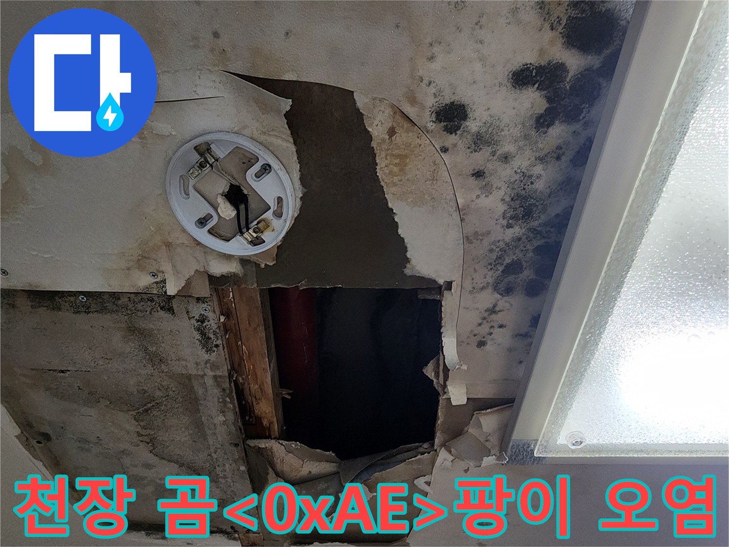 심한-곰팡이가-발생한-아파트-천장-내부