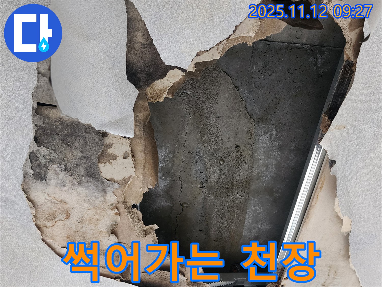 썩어가는 천장 - 곰팡이와 함께 썩어가는 천장