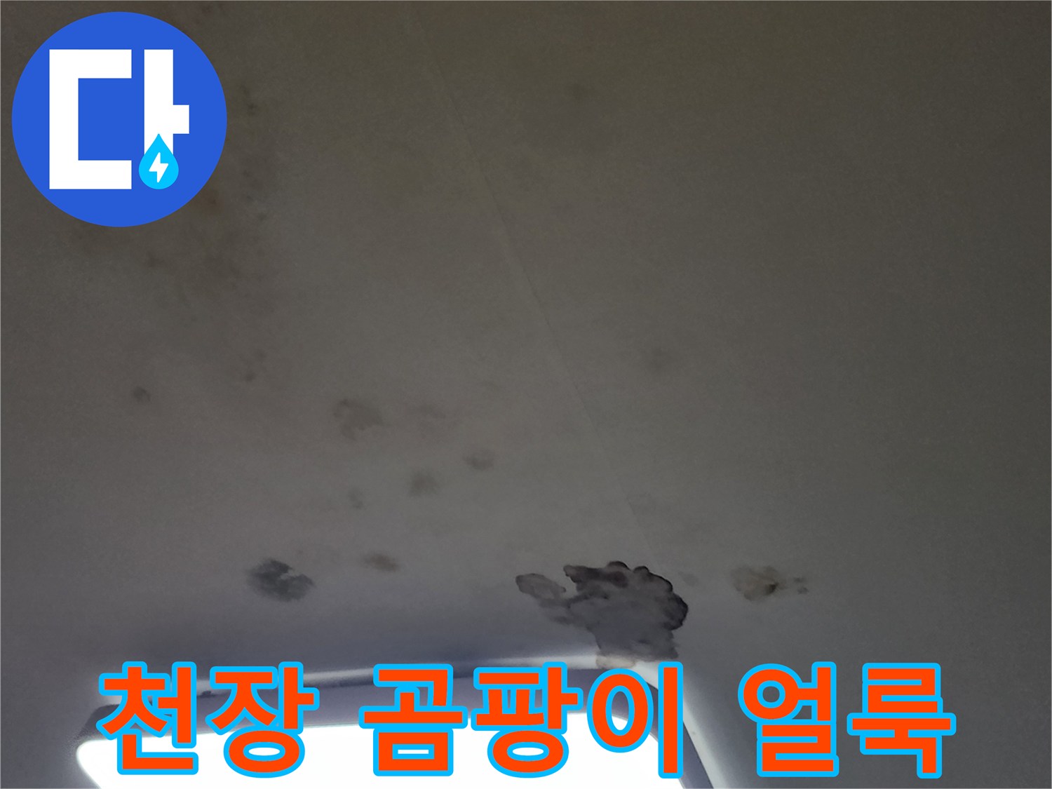 아파트 거실 천장 마감재에 발생한 곰팡이와 물 얼룩 상태