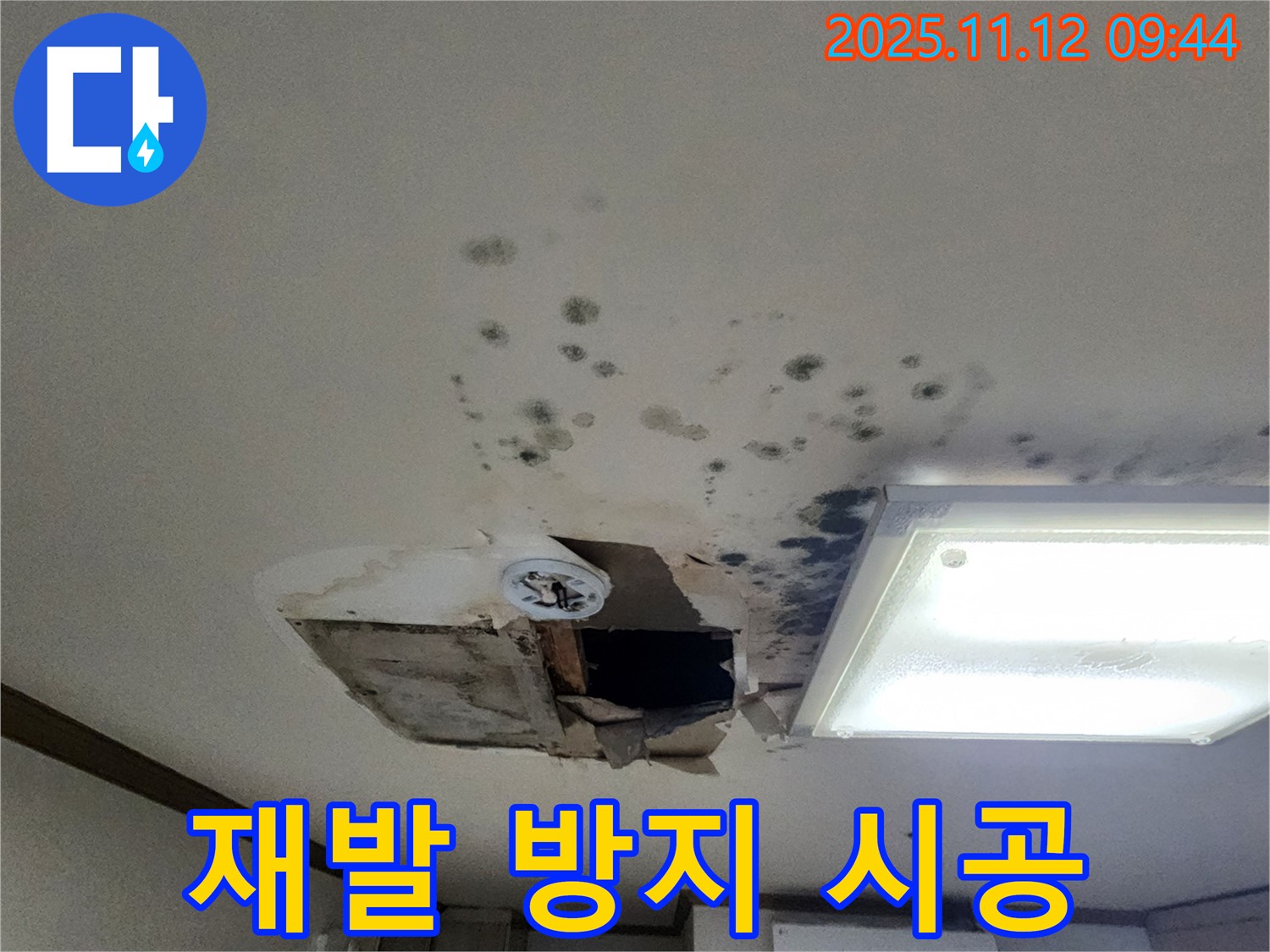 재발 방지 - 전문 시공 - 꼼꼼 작업 - 확실한 효과