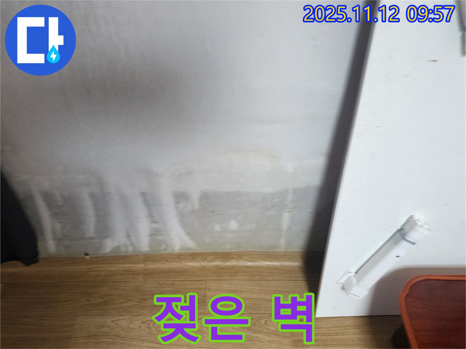젖은 벽 - 곰팡이 냄새 - 24시간 상담