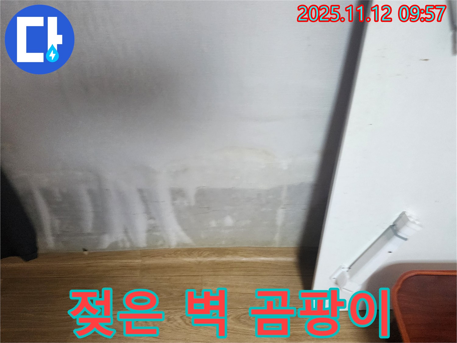 젖은 벽 - 곰팡이 발생 - 건강 위협