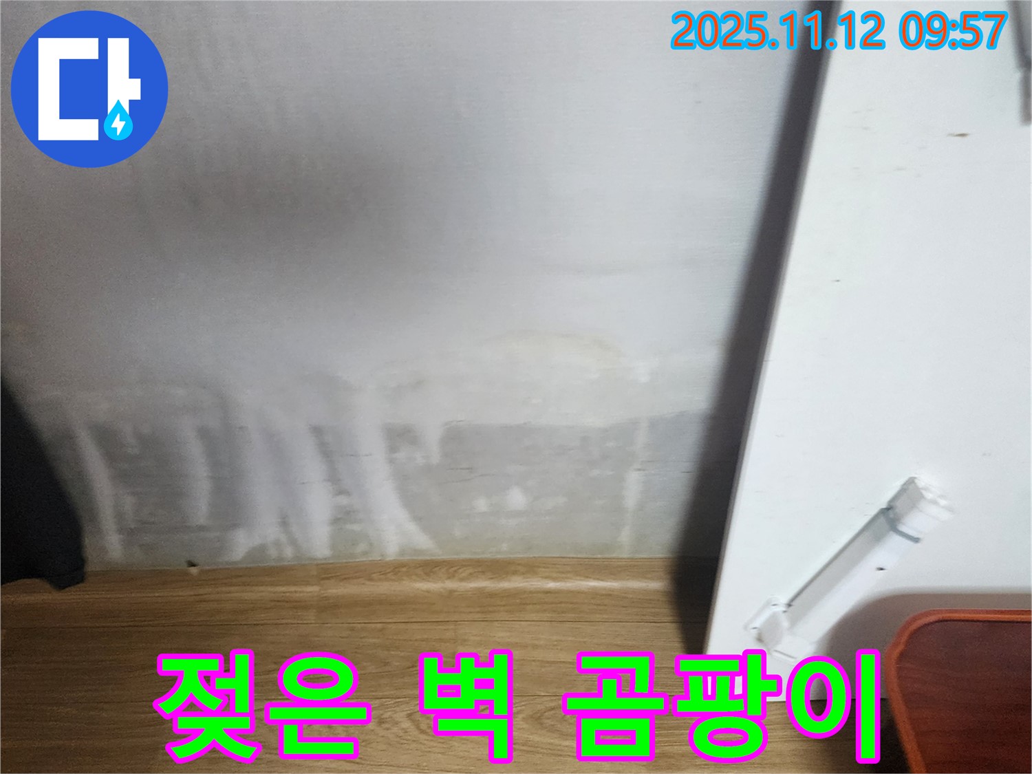젖은 벽 - 곰팡이 발생 - 건강 위협