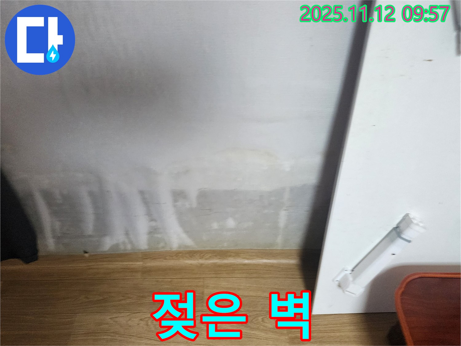 젖은 벽 - 곰팡이 발생 전, 긴급 점검 필요