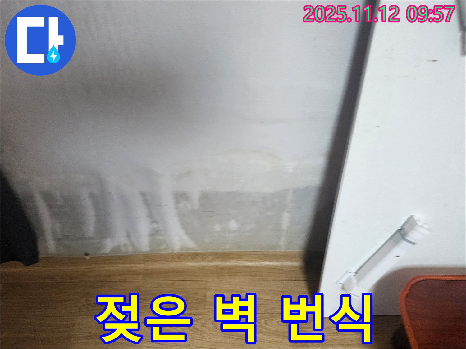 젖은 벽 - 곰팡이 번식 - 쾌적 공간