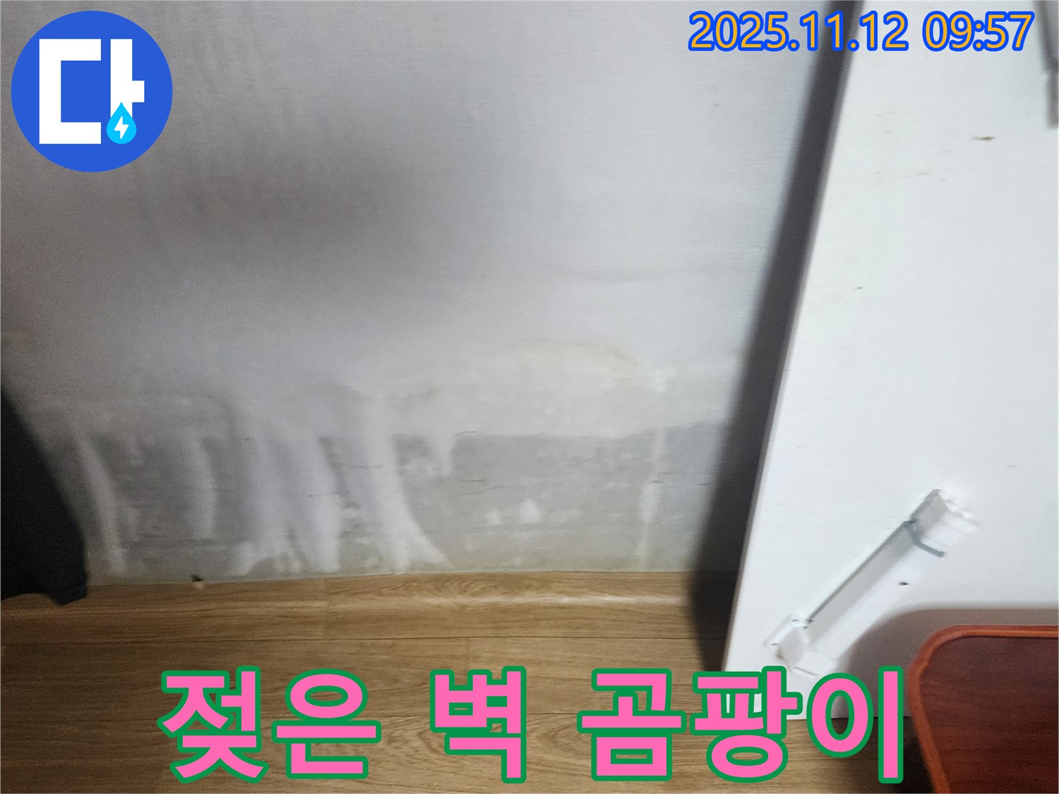 젖은 벽 - 곰팡이 직전 - 긴급 해결