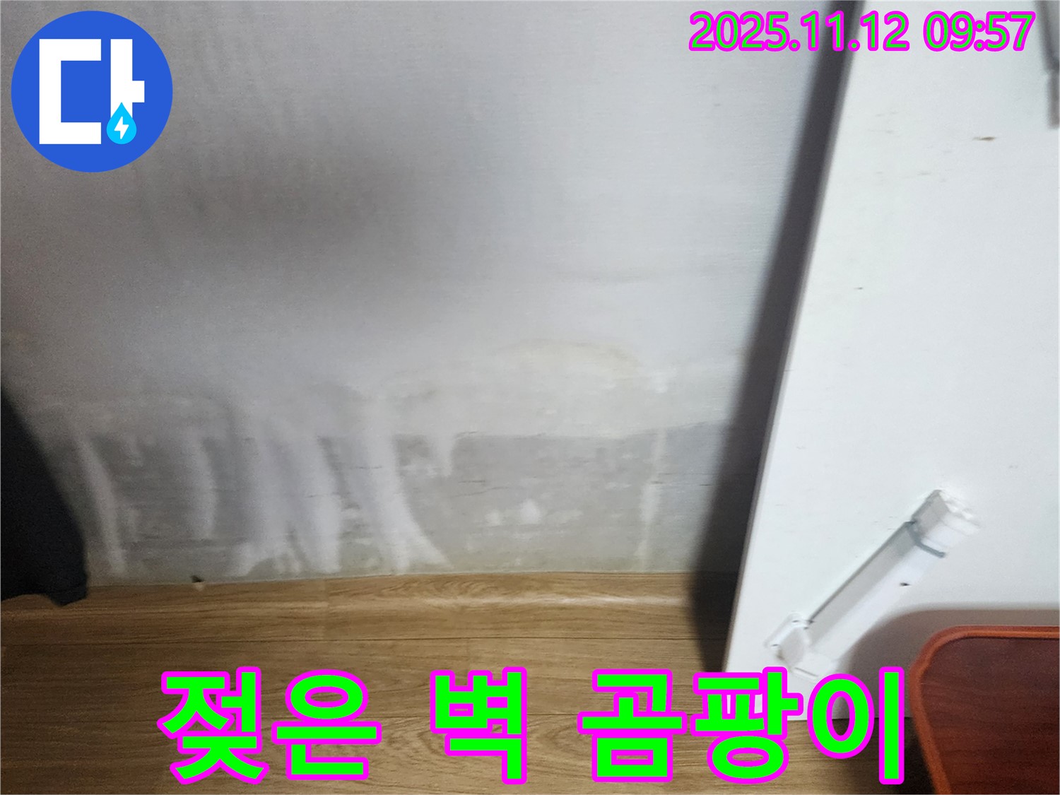 젖은 벽 - 곰팡이 직전 - 서둘러 해결
