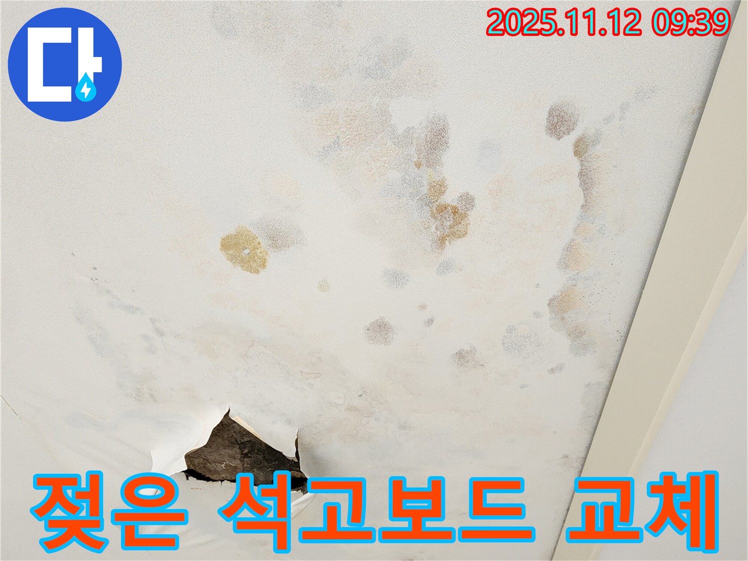 젖은 석고보드 - 교체 시공 - 꼼꼼한 마무리