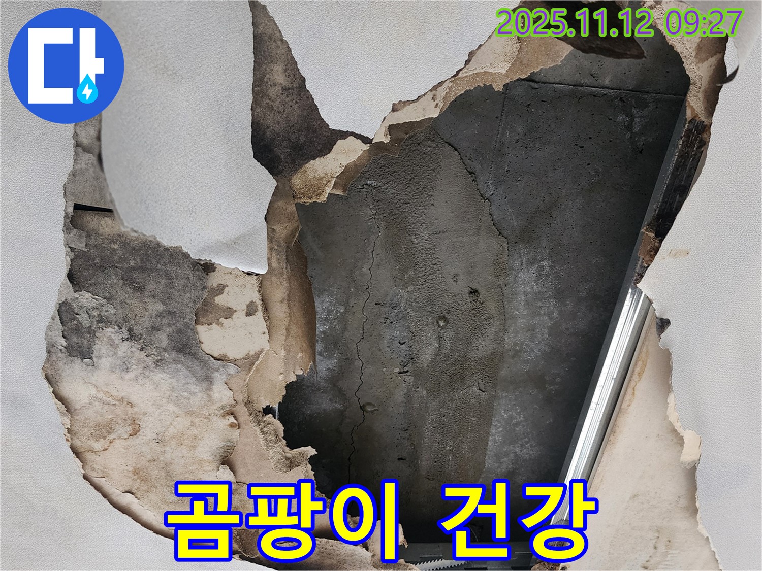 젖은 천장 - 곰팡이, 건강을 위협합니다.
