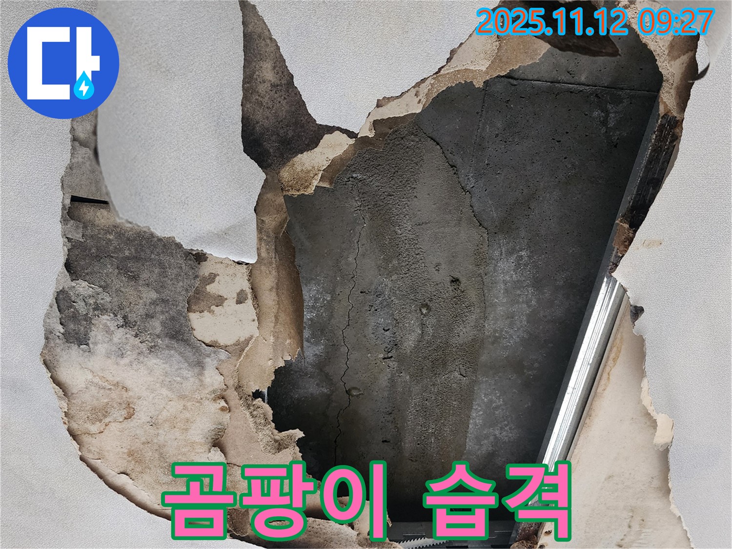 젖은 천장 - 곰팡이 냄새의 습격!