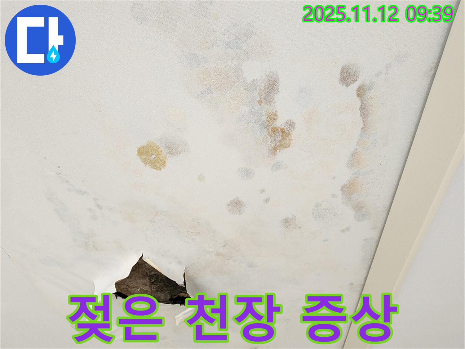젖은 천장 - 초기 증상 - 누수 의심
