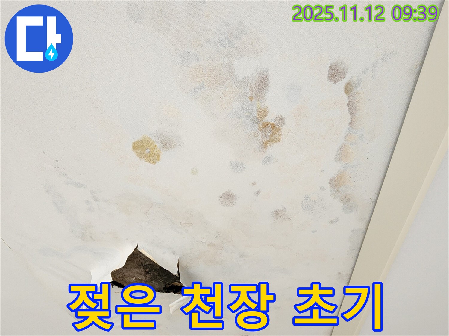 젖은 천장 - 초기 증상 - 방치 금지