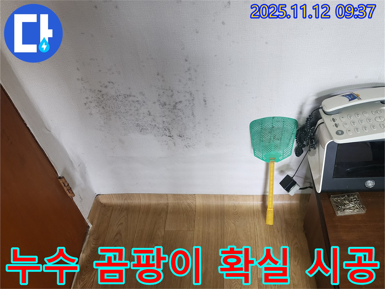주택 벽 곰팡이 - 누수탐지로 곰팡이 문제를 해결하고 쾌적한 환경으로! 꼼꼼한 점검!