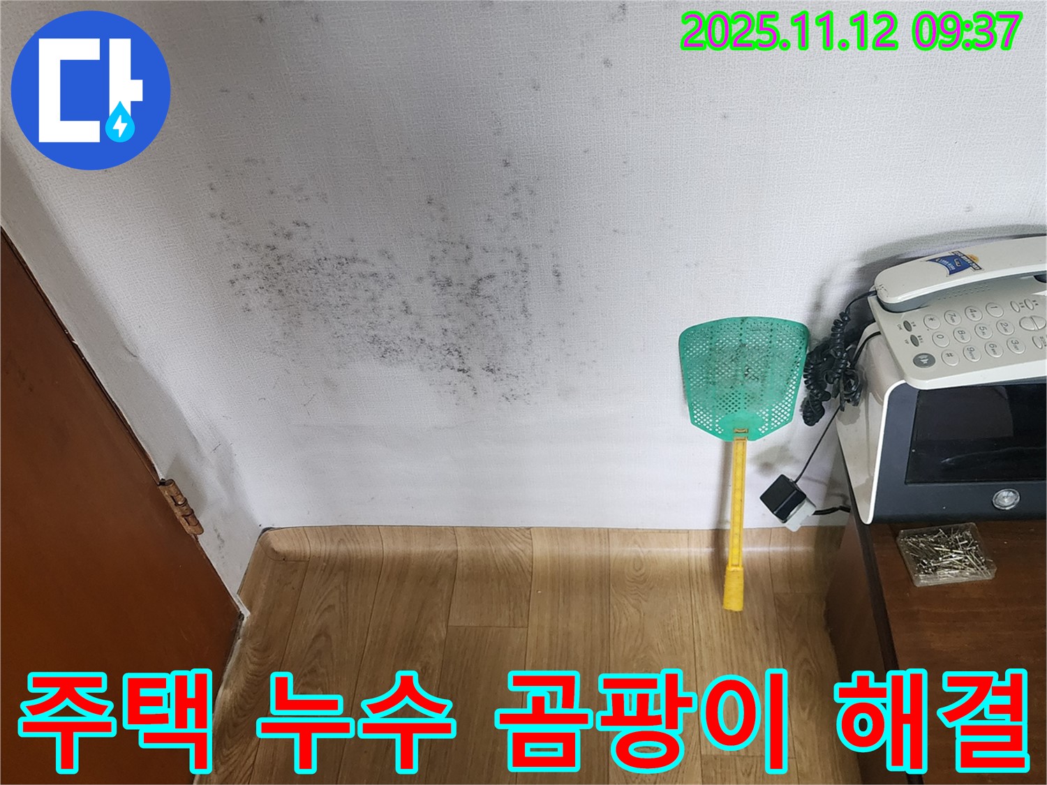 주택 벽에 핀 곰팡이 - 누수탐지를 통해 곰팡이 문제를 해결하고 안심하고 생활하세요.