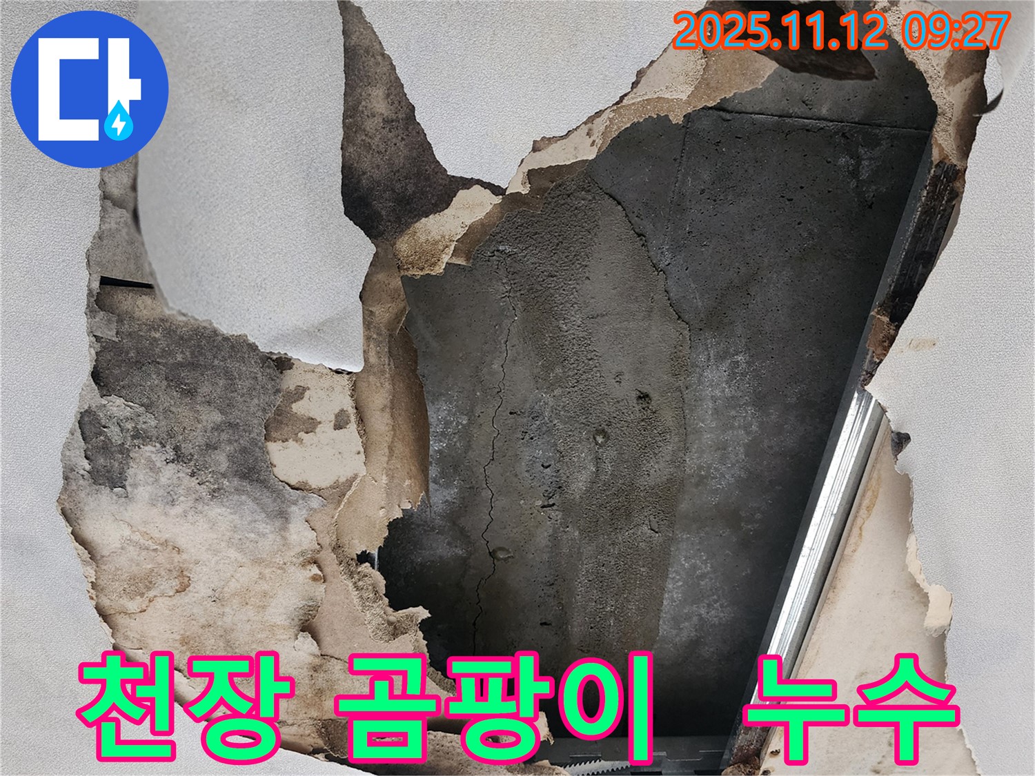 천장 곰팡이 - 누수로 인한 곰팡이 발생