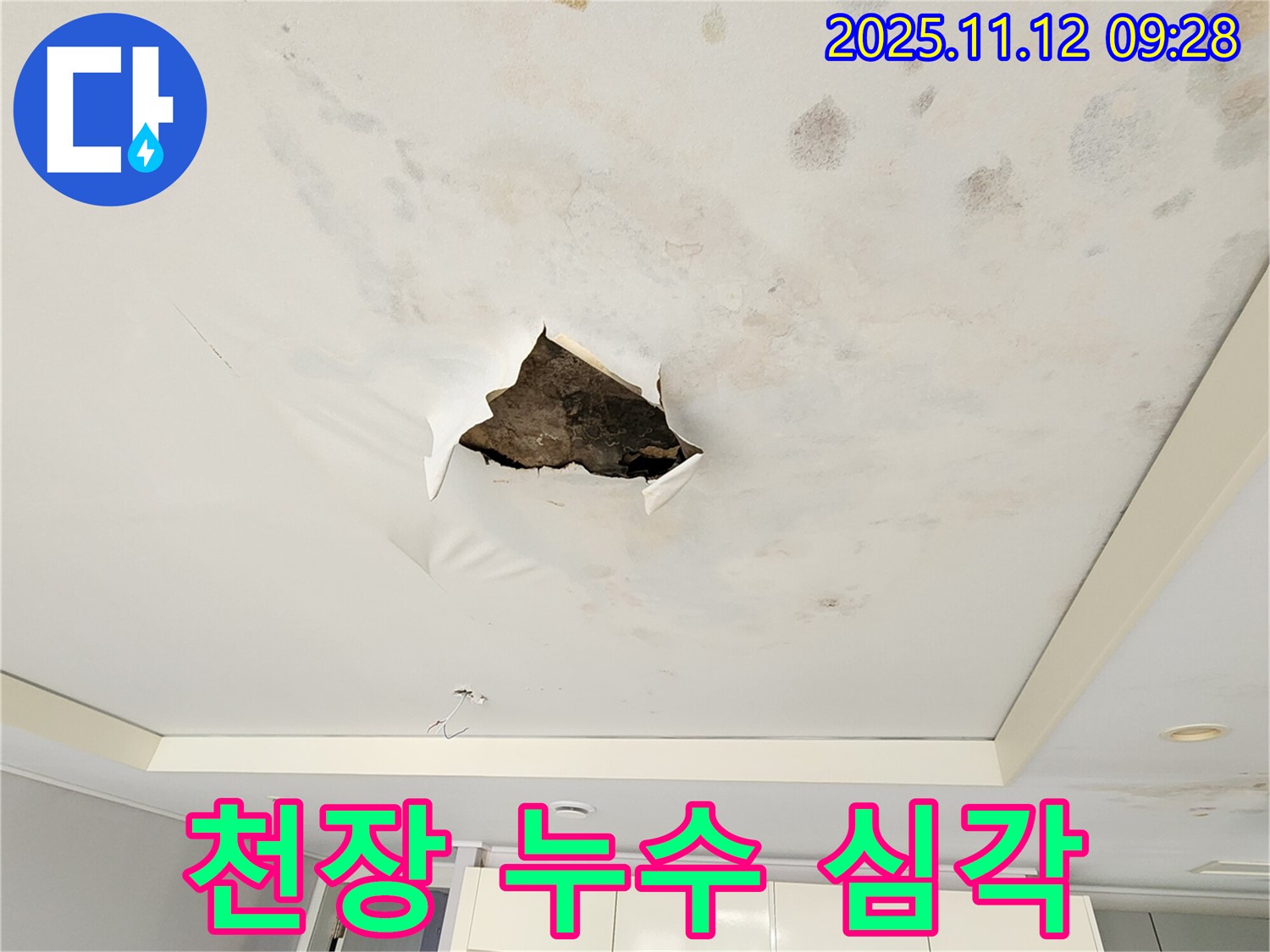 천장 누수 심각 - 텍스 천장 전체가 젖어 곰팡이가 심하게 핀 끔찍한 누수 피해 사진입니다.