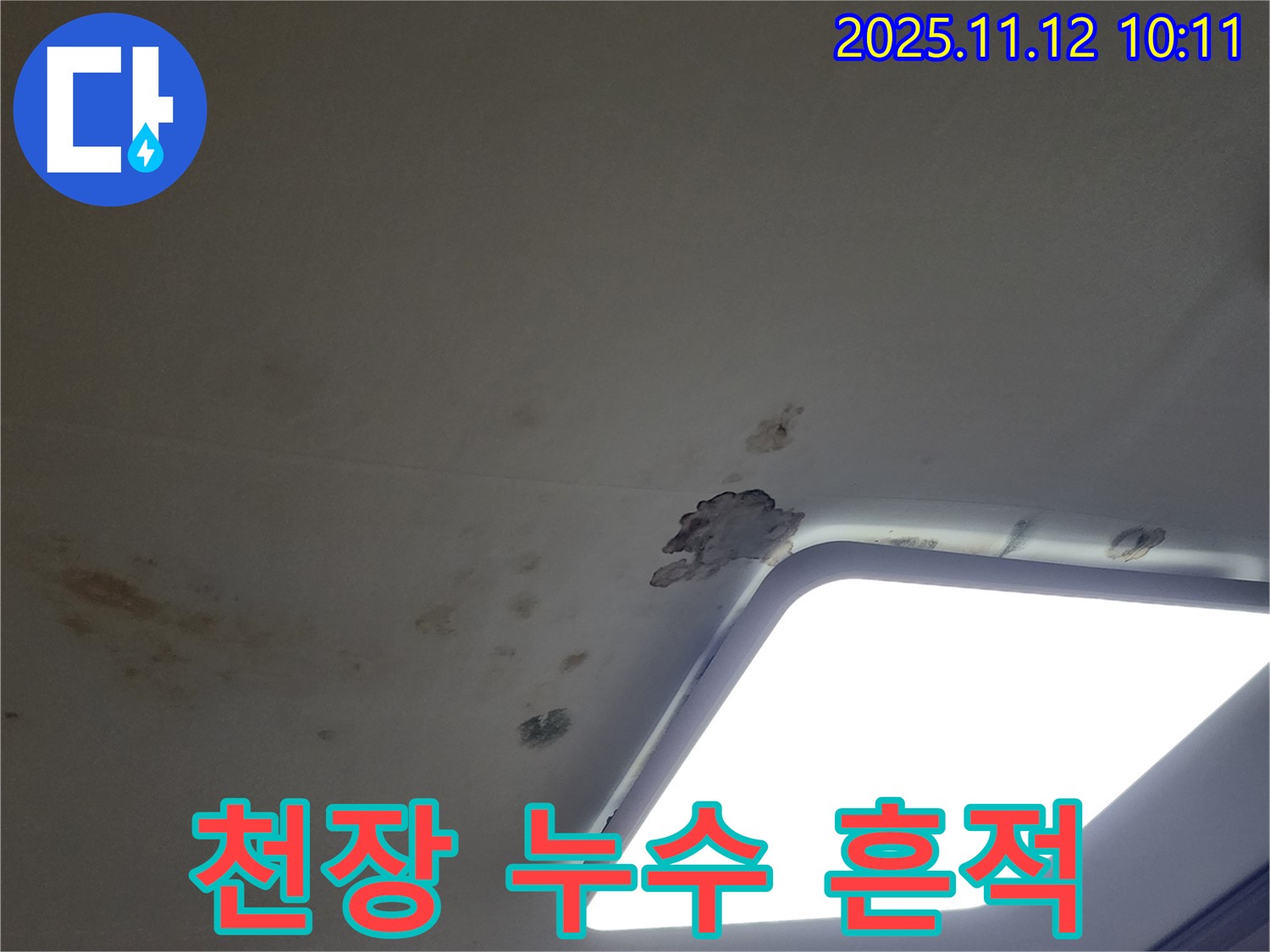 천장 누수 흔적 - 얼룩과 곰팡이