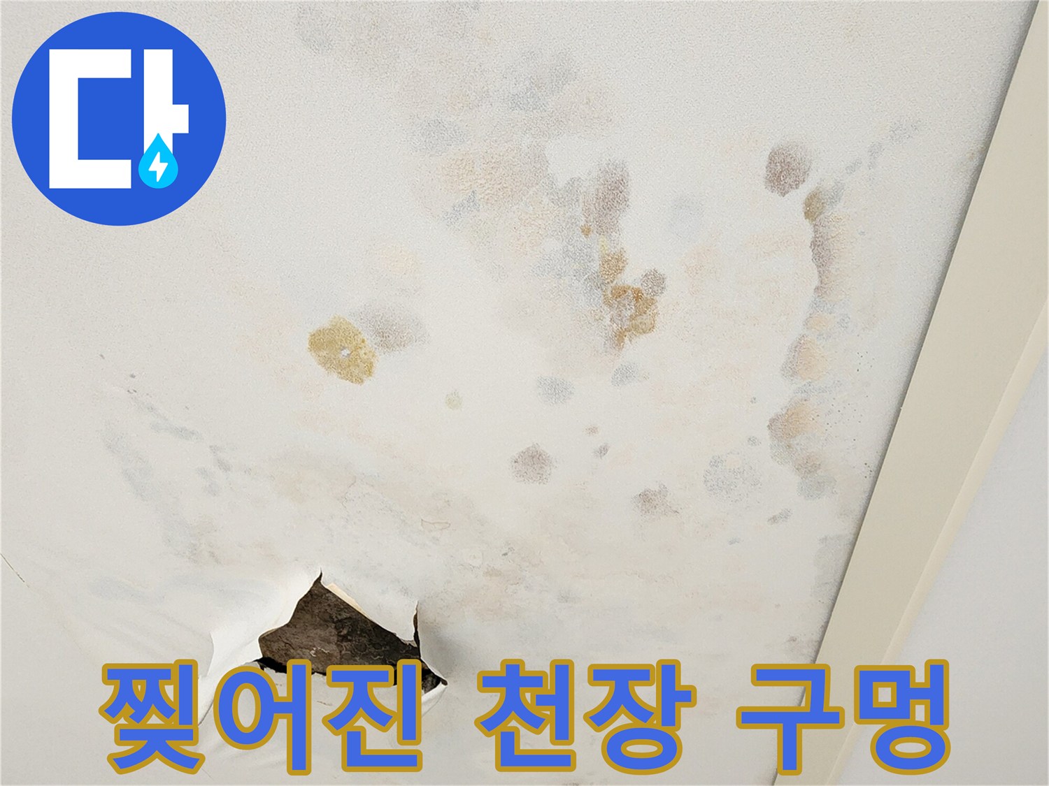 천장 마감재가 찢어져 내부가 노출된 누수 현장