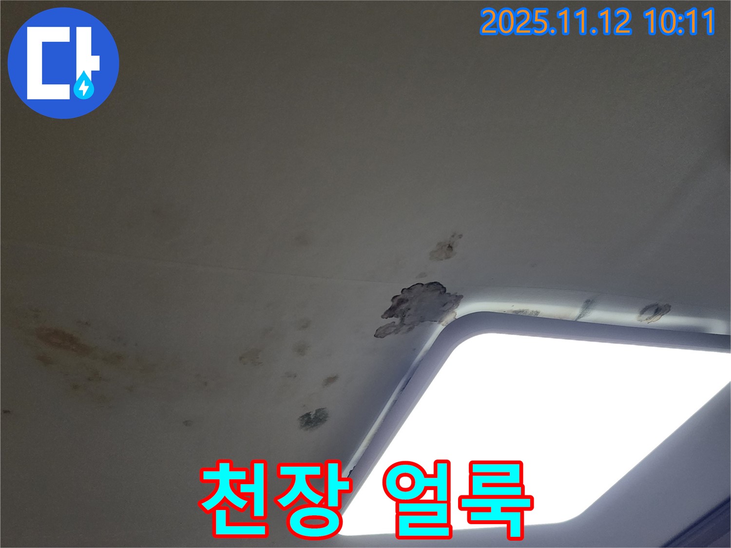 천장 얼룩 - 곰팡이 초기