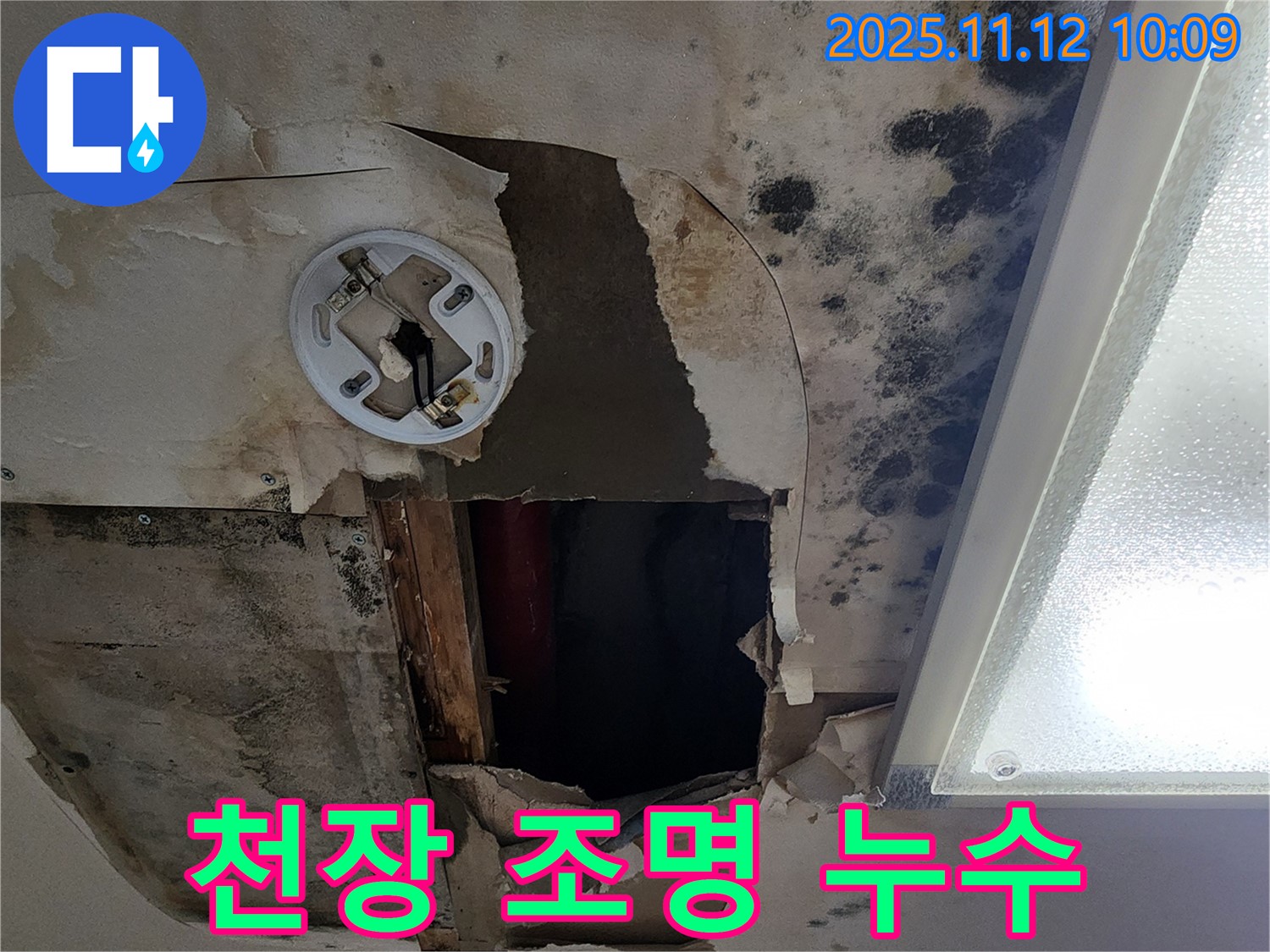 천장 조명 누수 - 천장 조명 주변으로 누수가 발생한 위험한 상황