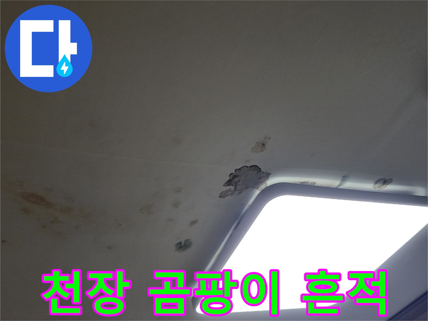 천장 조명 주변에 번진 곰팡이와 습기 얼룩 부위
