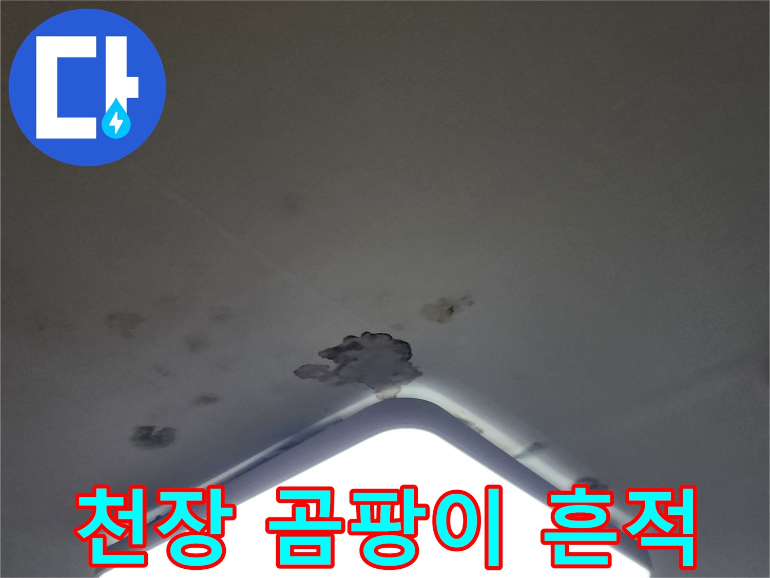 천장 조명 주변의 곰팡이와 습기로 인한 벽지 변색 현상