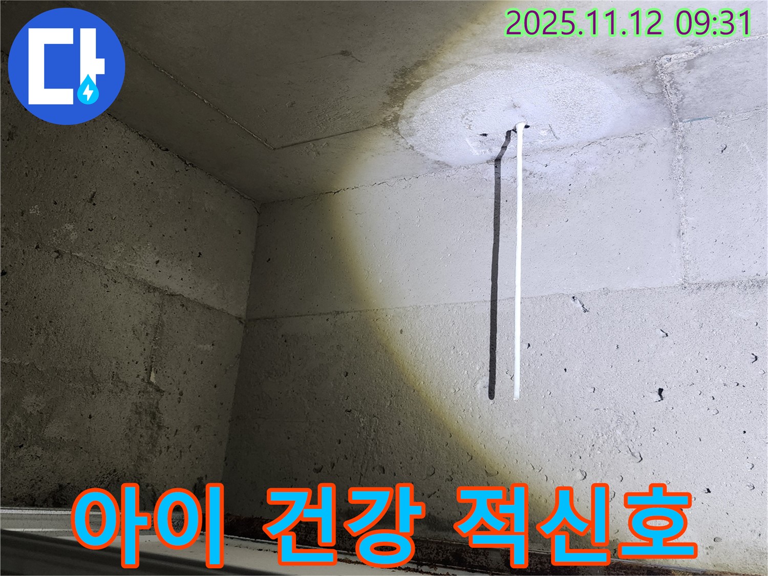 콘크리트 천장 - 누수 아이 건강 - 곰팡이 주의