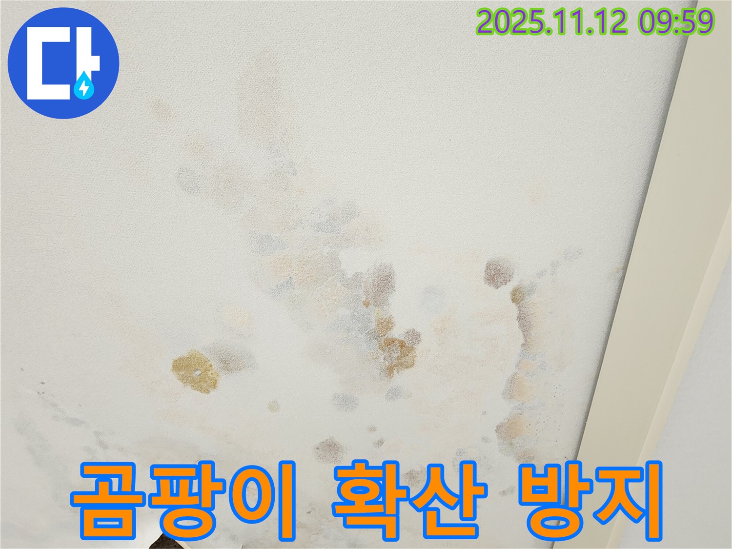 포천 소흘읍 무봉리 누수 현장 - 곰팡이가 번식한 천장