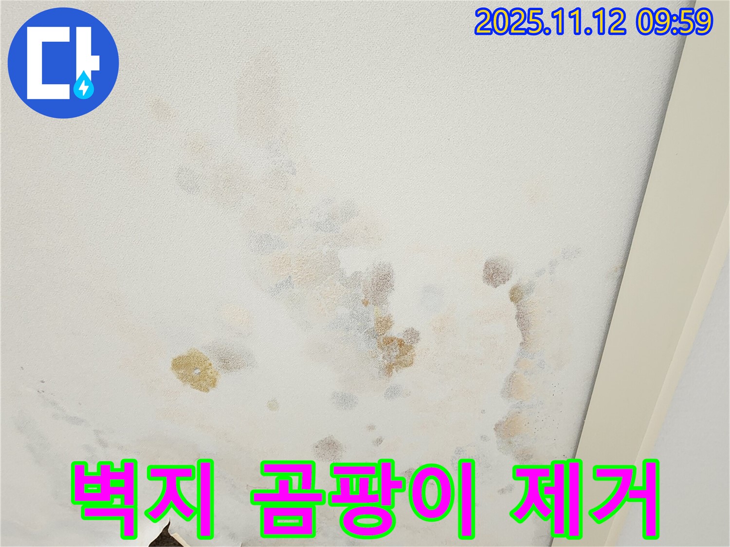 포천 소흘읍 무봉리 누수 현장 - 곰팡이가 핀 천장 벽지