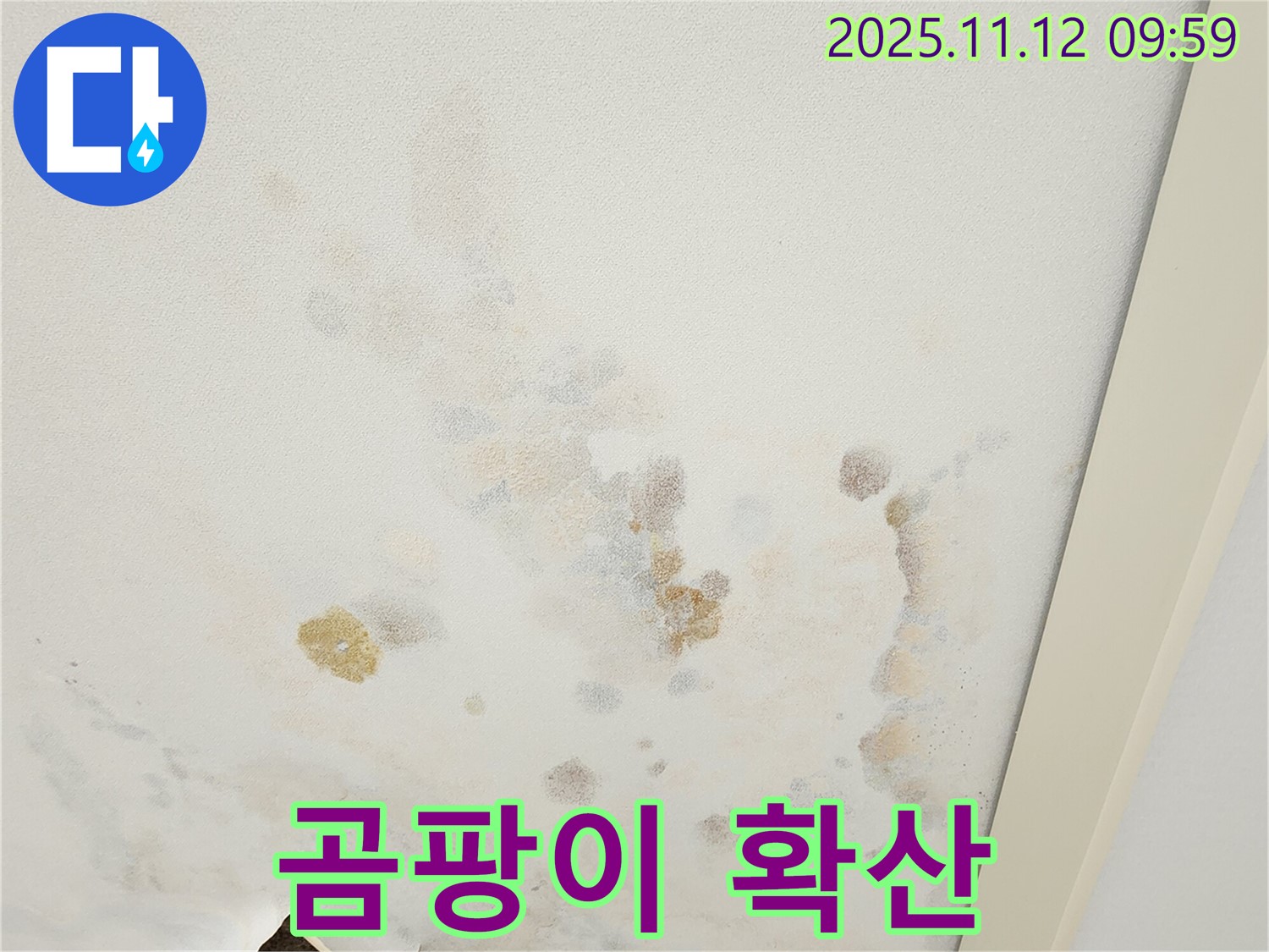 포천 소흘읍 무봉리 누수 현장 - 젖은 천장과 곰팡이 확산