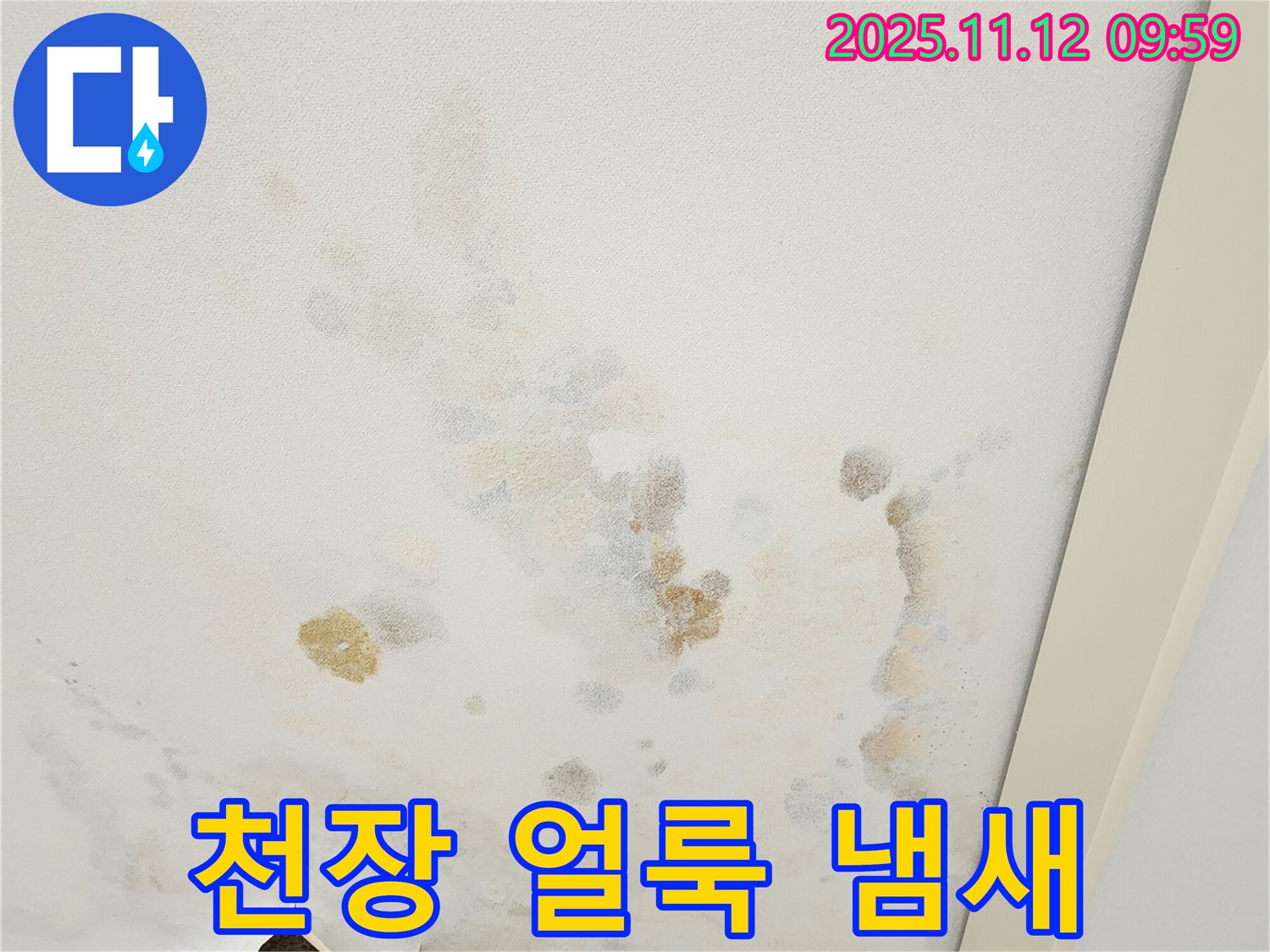 포천 소흘읍 무봉리 누수 현장 - 천장 얼룩과 곰팡이 냄새